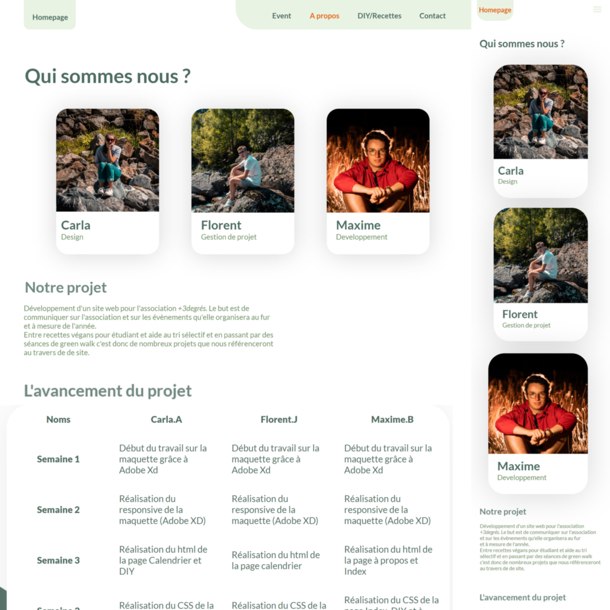 Page 4 Site +3°